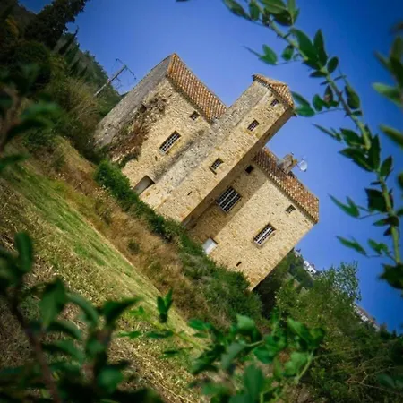 Le Domaine De Pépé